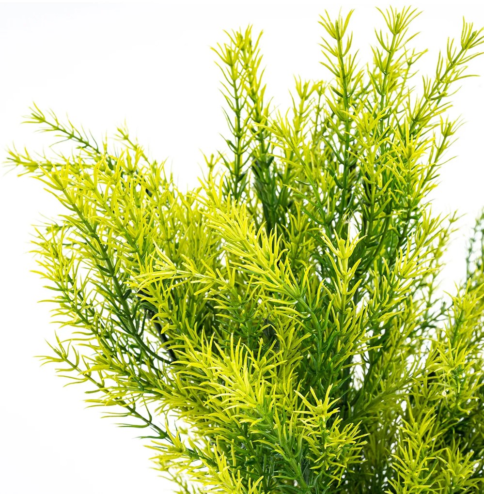 Buchet artificial Asparagus, 53 cm