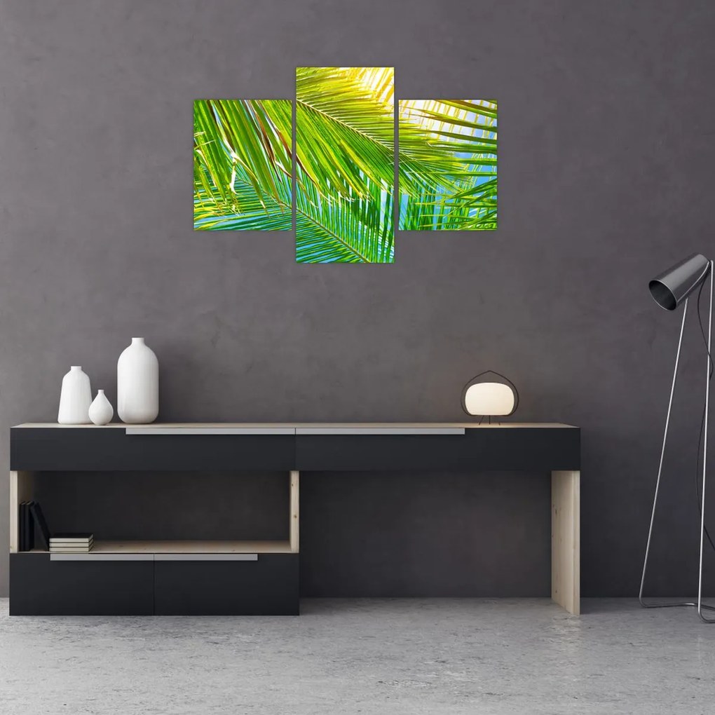 Tablou - Frunze de palmier (90x60 cm)