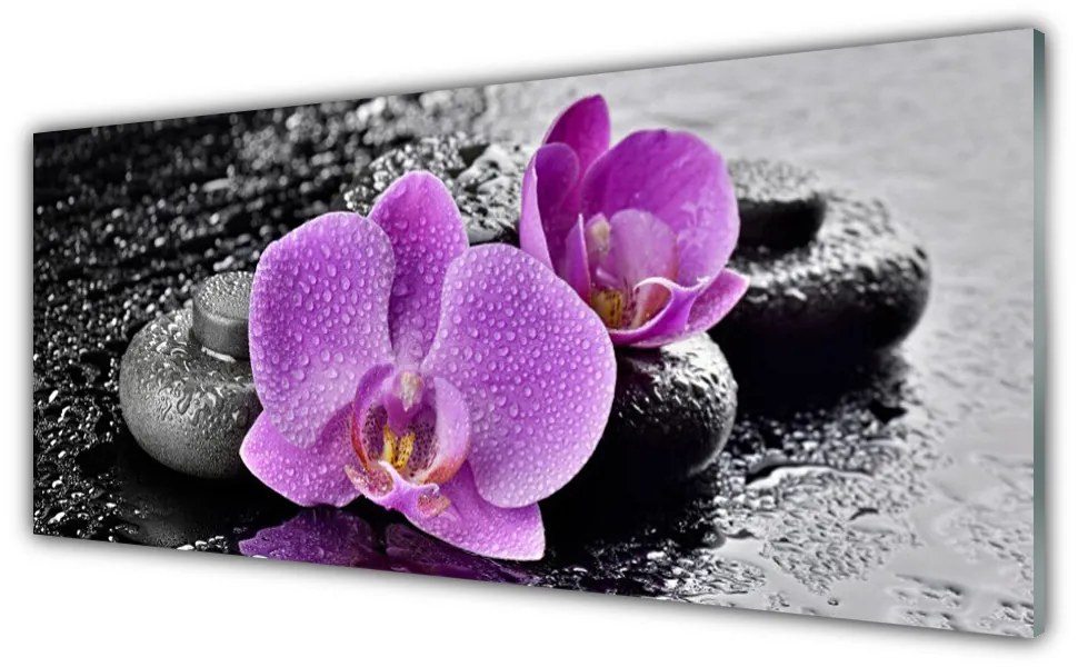 Tablouri acrilice Floare pietre Floral Roz Negru Gri