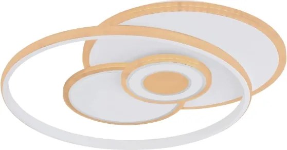 Globo 48442-50SH - Plafonieră LED dimabilă RODERICK 50W/230V 46x54,5 cm+telecomandă
