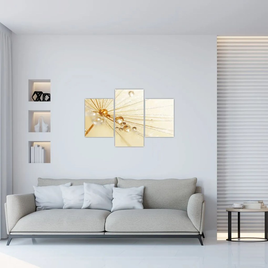 Tablou - Fotografie macro de păpădie (90x60 cm)