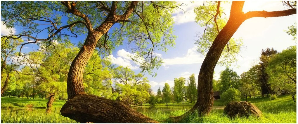 Tablou lunca ne primăvară (120x50 cm)