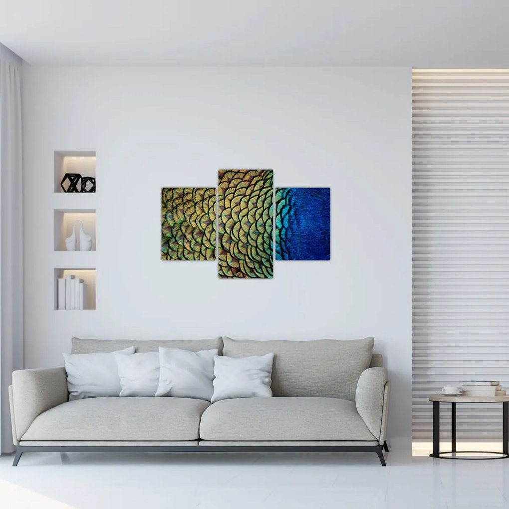 Tablou - Pene de păun (90x60 cm)