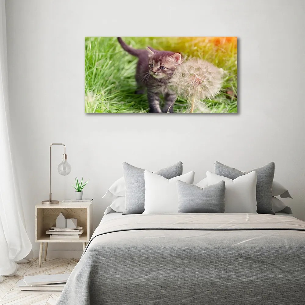 Print pe canvas Pisoi cu păpădia