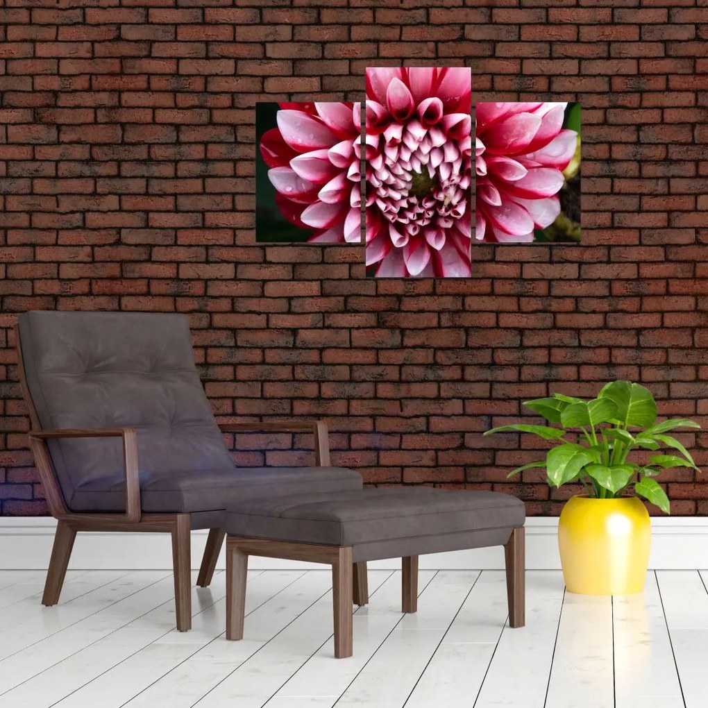 Tablou cu dalie roz (90x60 cm)