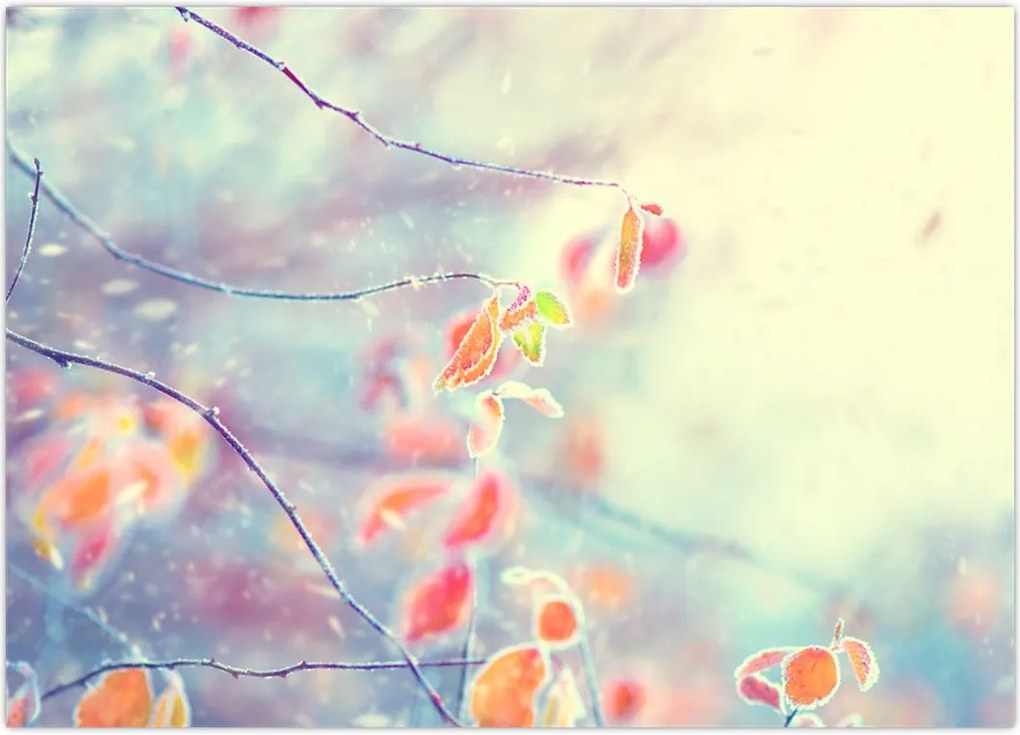 Tablou - Frunze în gheață (70x50 cm)
