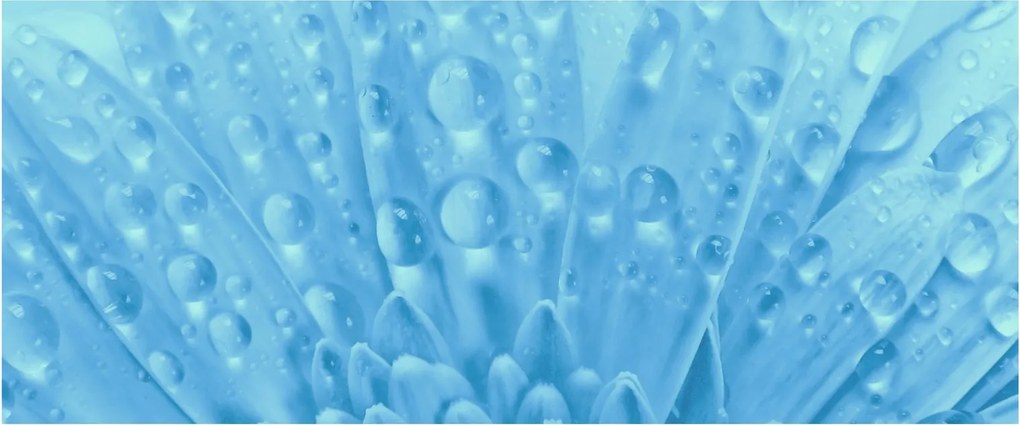 Tablou - Macro împușcat de o floare (120x50 cm)