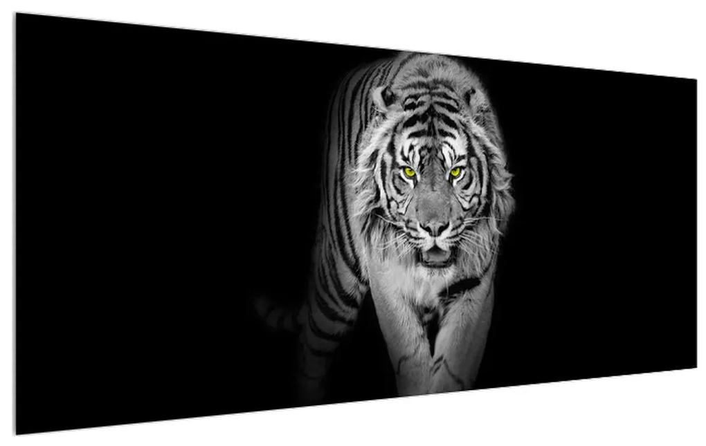 Tablou albnegru cu tigru (120x50 cm), în 40 de alte dimensiuni noi