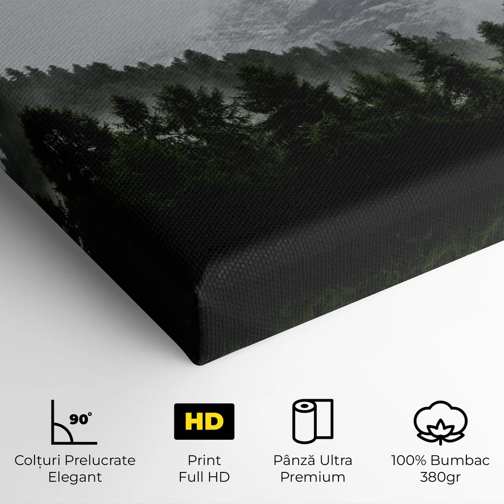 Tablou Canvas, 60x120cm, Dormitor si Living, Peisaje, Paduri, Foggy Mountain Forest