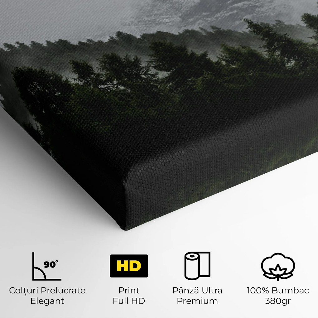 Tablou Canvas, 80x120cm, Dormitor si Living, Peisaje, Paduri, Foggy Mountain Forest