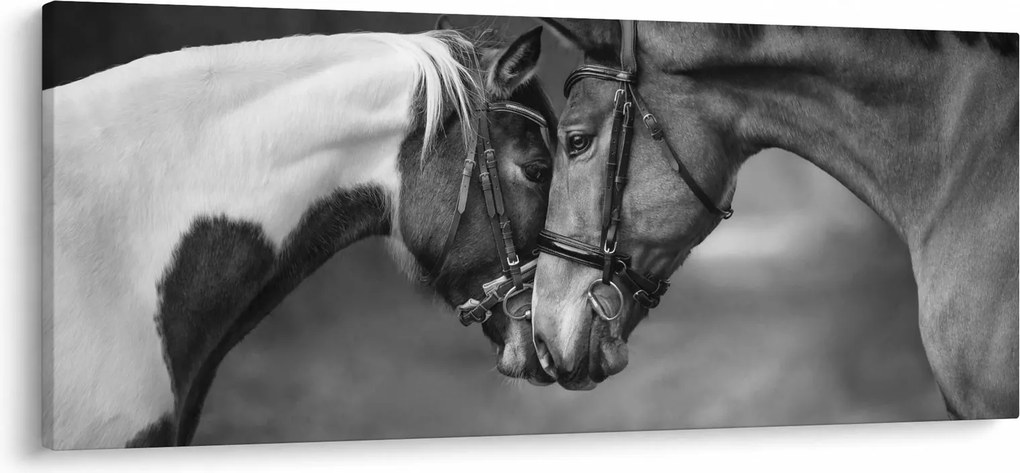 Tablou - Cai îndrăgostiți,alb-negru (120x50 cm)
