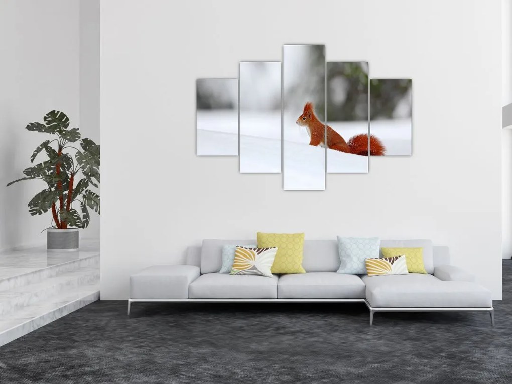 Tablou - Vevetițe (150x105 cm)