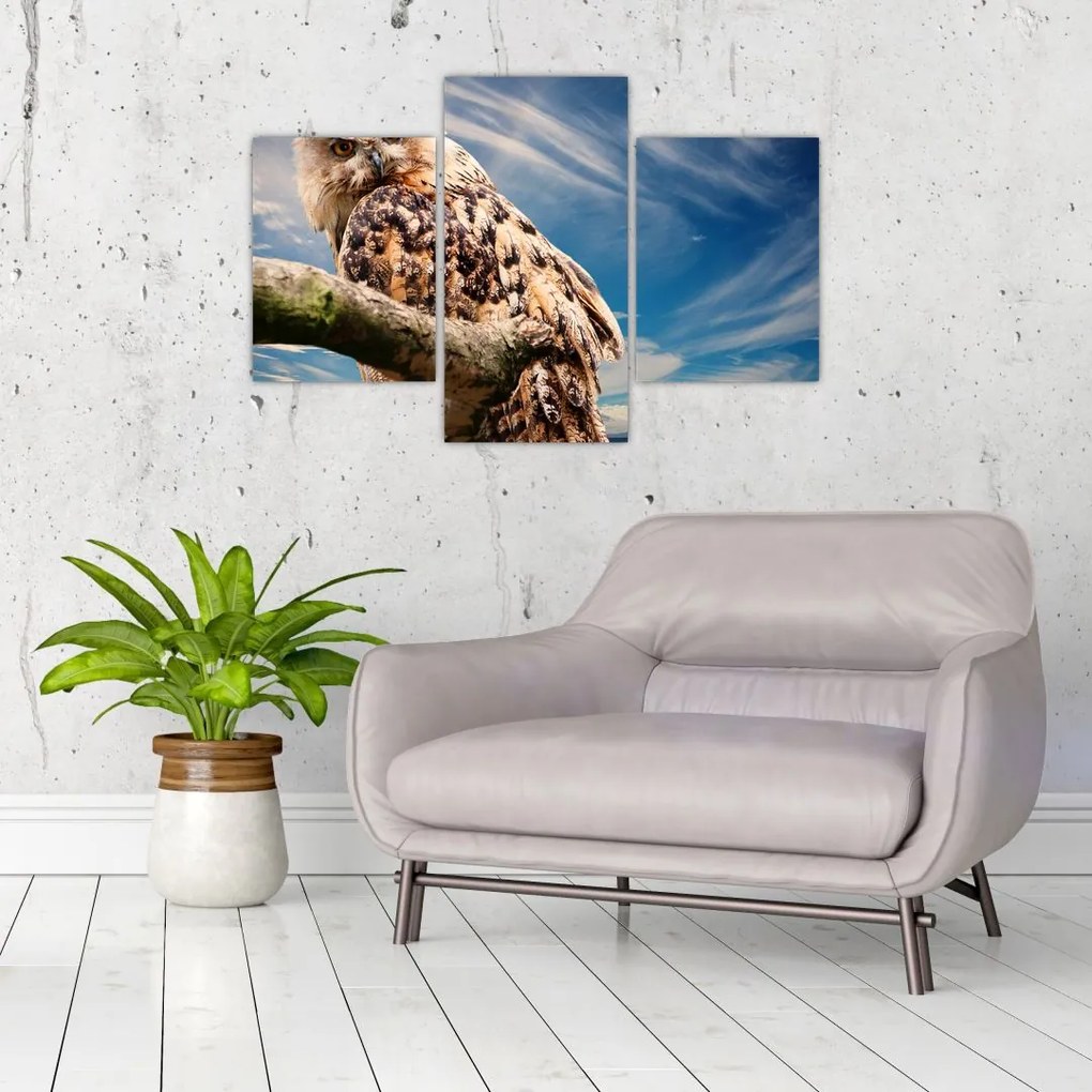 Tablou - Bufniță (90x60 cm)