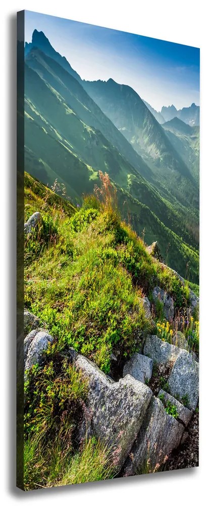 Tablou canvas Munte de vară
