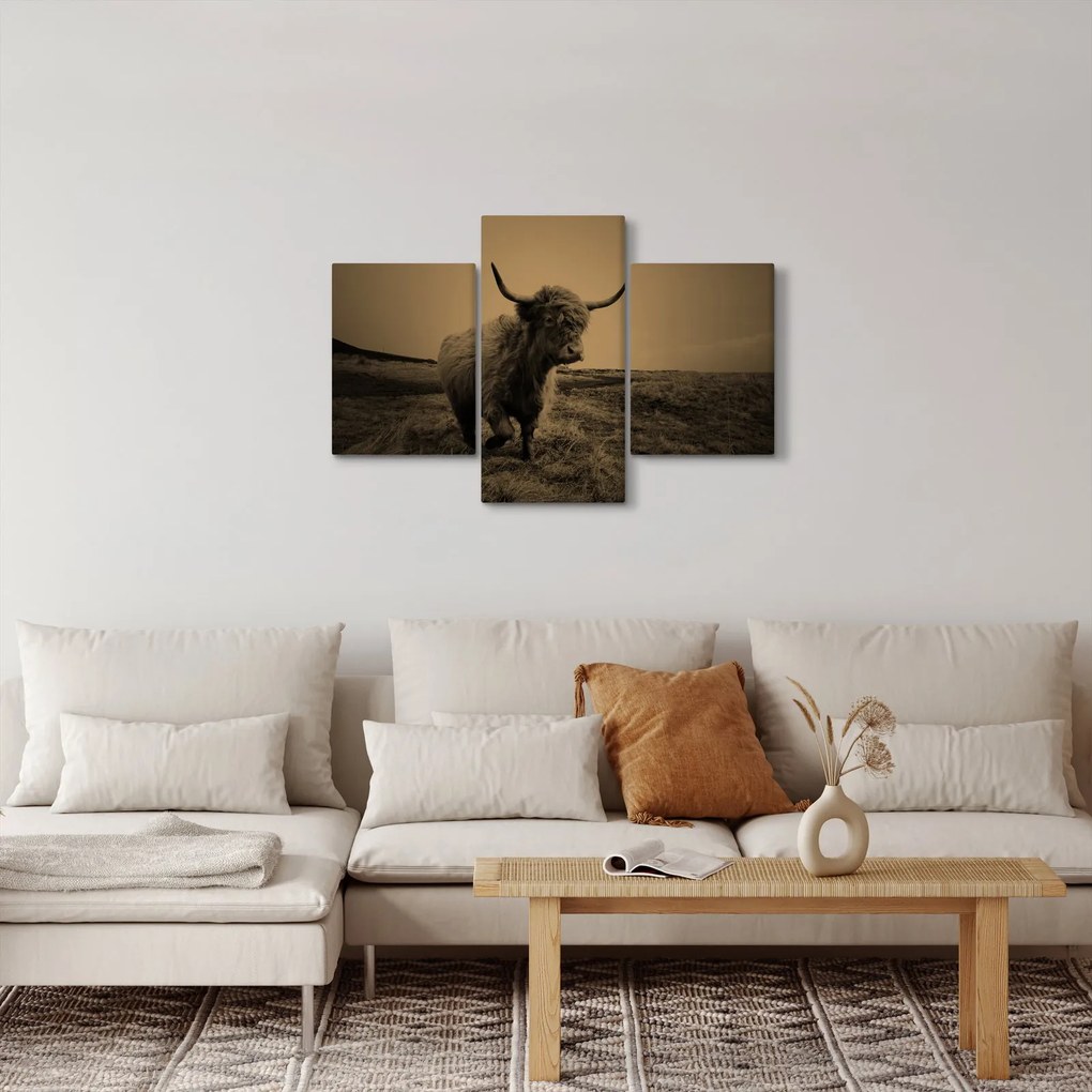Tablou - Vacă scoțiană pe fugă (90x60 cm)