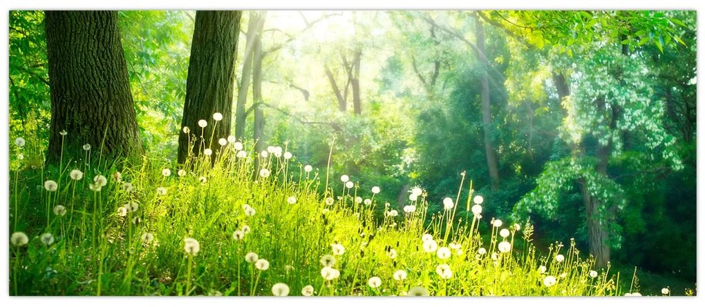 Tablou - Pajiște magică plină de păpădii (120x50 cm)