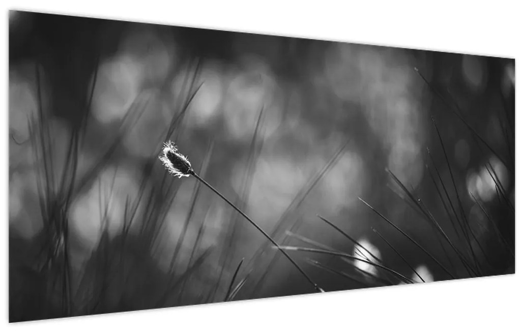 Tablou - Iarbă de pajiște (120x50 cm)