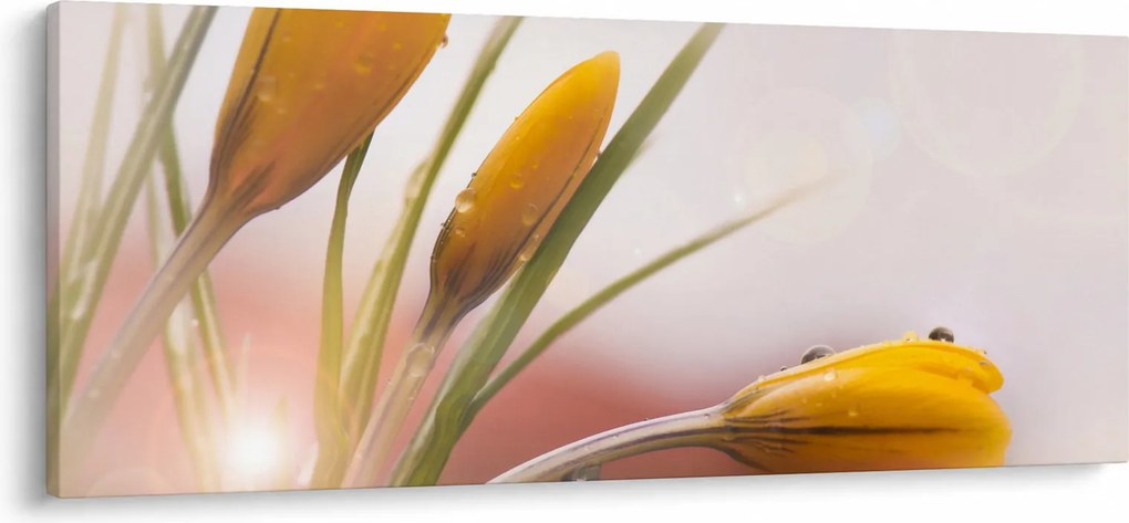 Tablou - Flori de primăvară (120x50 cm)
