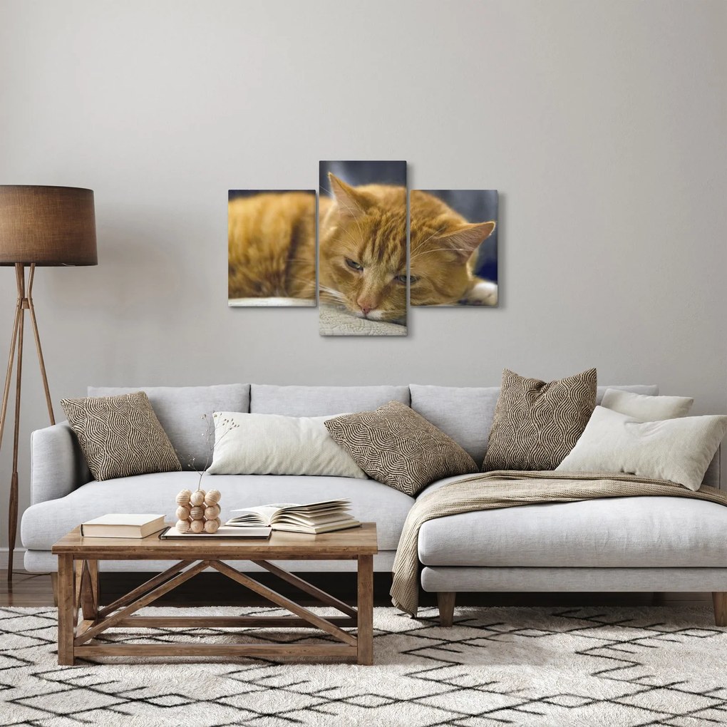 Tablou cu pisica (90x60 cm)