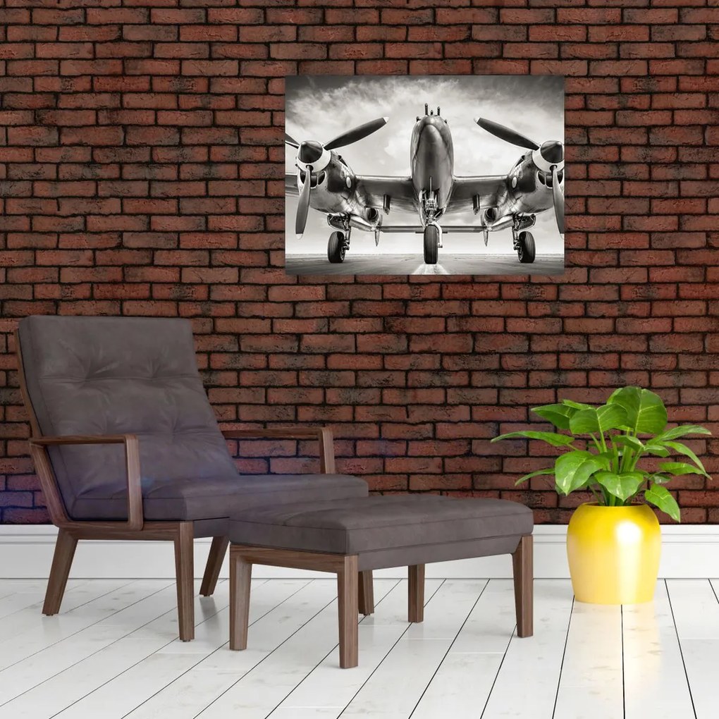 Tablou pe sticlă - Warbird (70x50 cm)