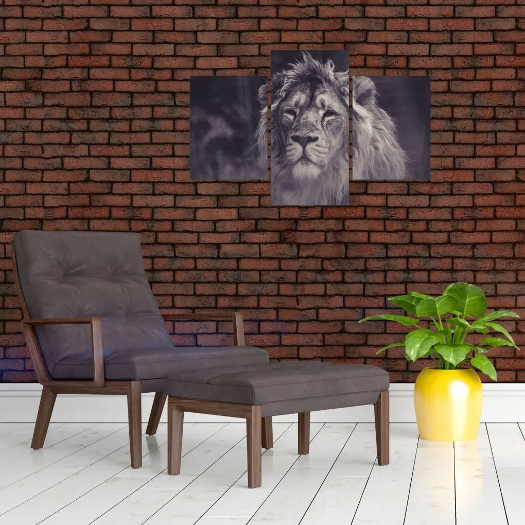 Tablou cu leu (90x60 cm)