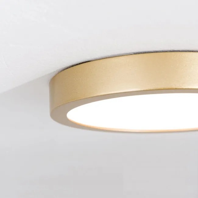Plafoniera LED moderna design slim Lero 18cm auriu mat