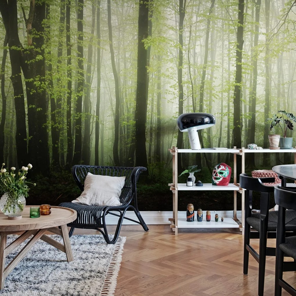 Fototapet, Dawn in the Forest, Rebel Walls