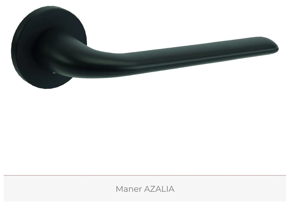 Usa de interior PORTA colectia 4 Elemente - PAMANT model Z1cu toc negru 240-300 mm, Stejar Natural