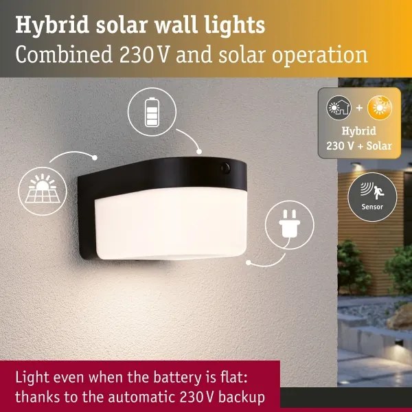 Paulmann 95747 - LED/2,3W IP44 Aplică solară de perete cu senzor CALYNE 3,7/230V