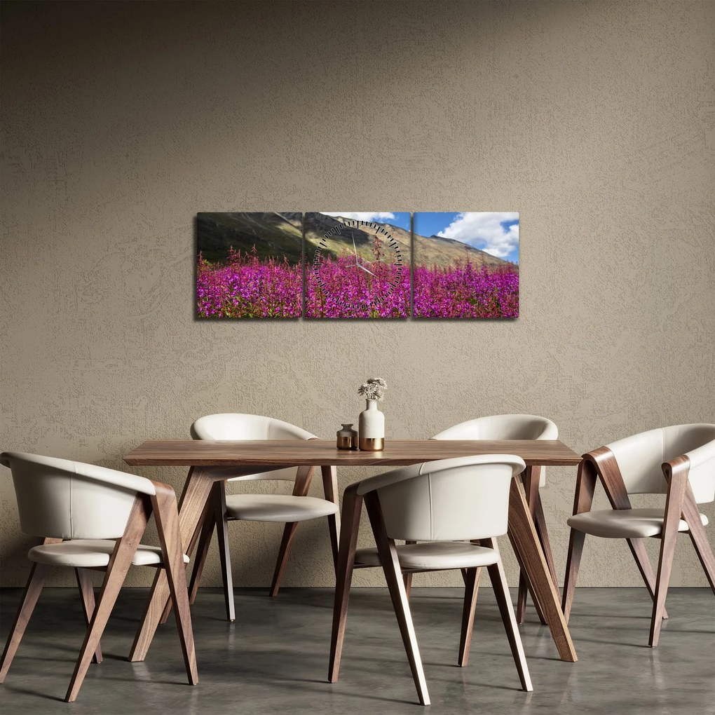 Tablou sceneriei cu lunca montană (cu ceas) (90x30 cm)