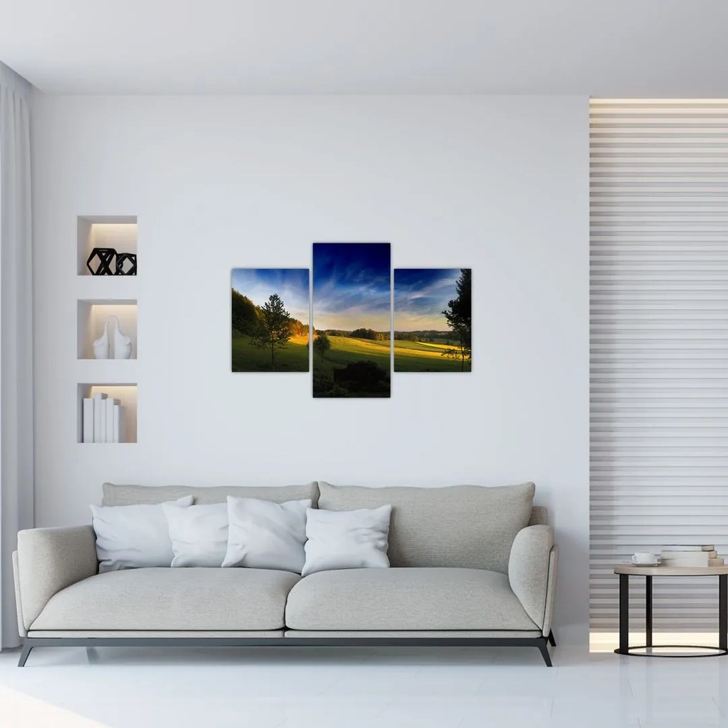 Tablou - Lunca de munte (90x60 cm)