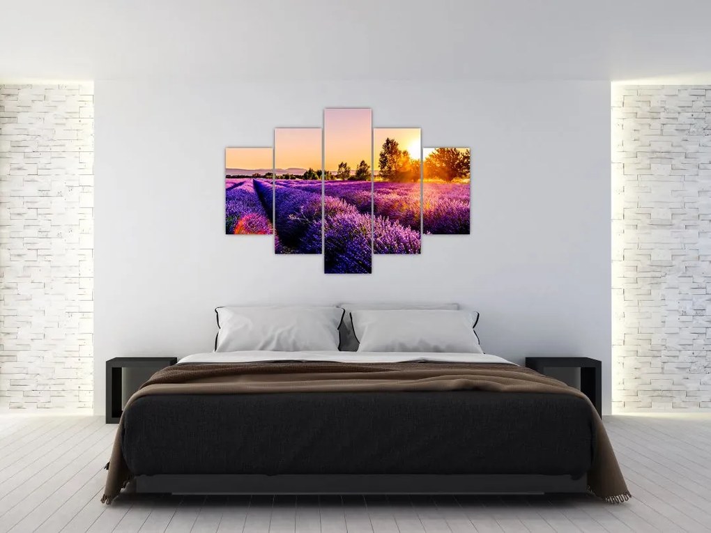 Tablou cu câmp de lavandă, Provincie (150x105 cm)
