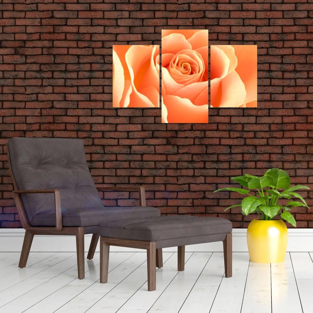 Tablou - Imaginea- Trandafiri, culoarea caisei (90x60 cm)