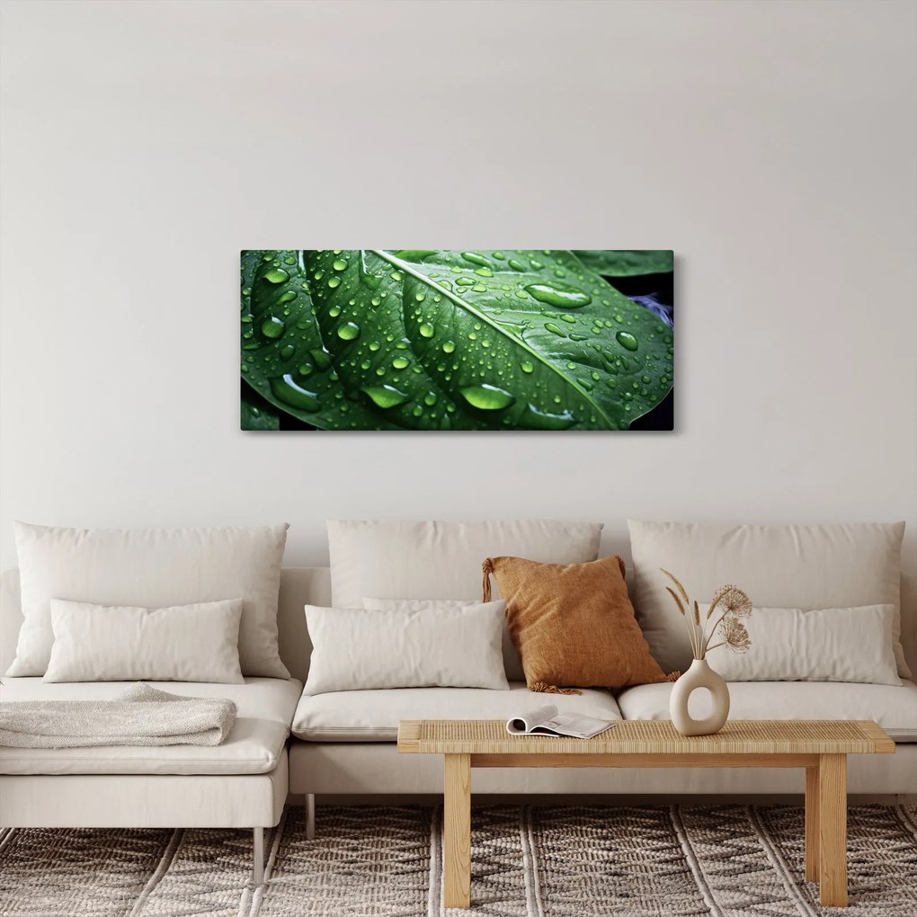 Tablou - Detaliu de frunze după ploaie (120x50 cm)