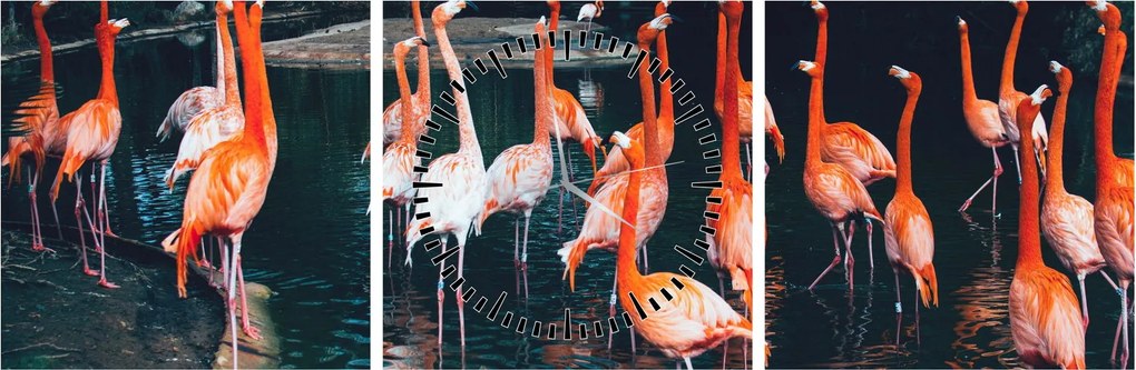 Tablou - turmă de flamingo (cu ceas) (90x30 cm)