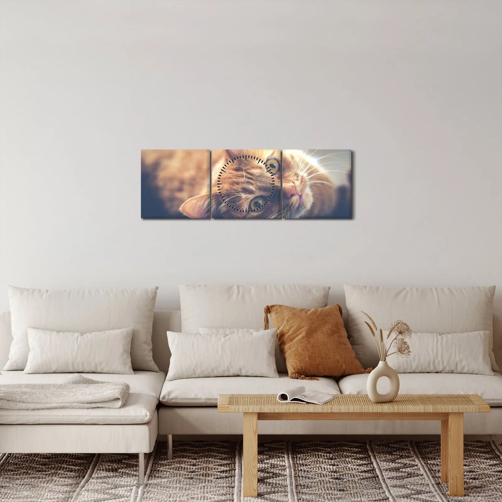 Tablou - Pisici pe podea (cu ceas) (90x30 cm)