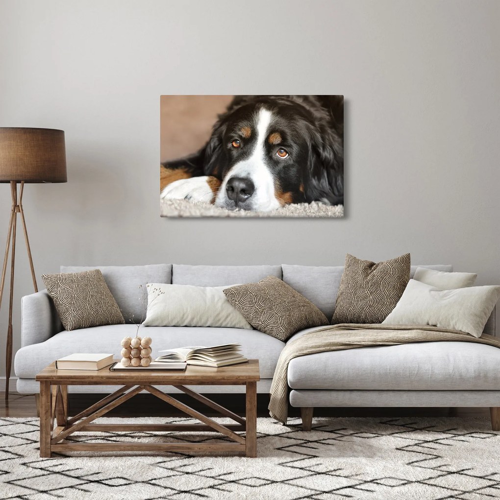 Tablou cu câine (90x60 cm)