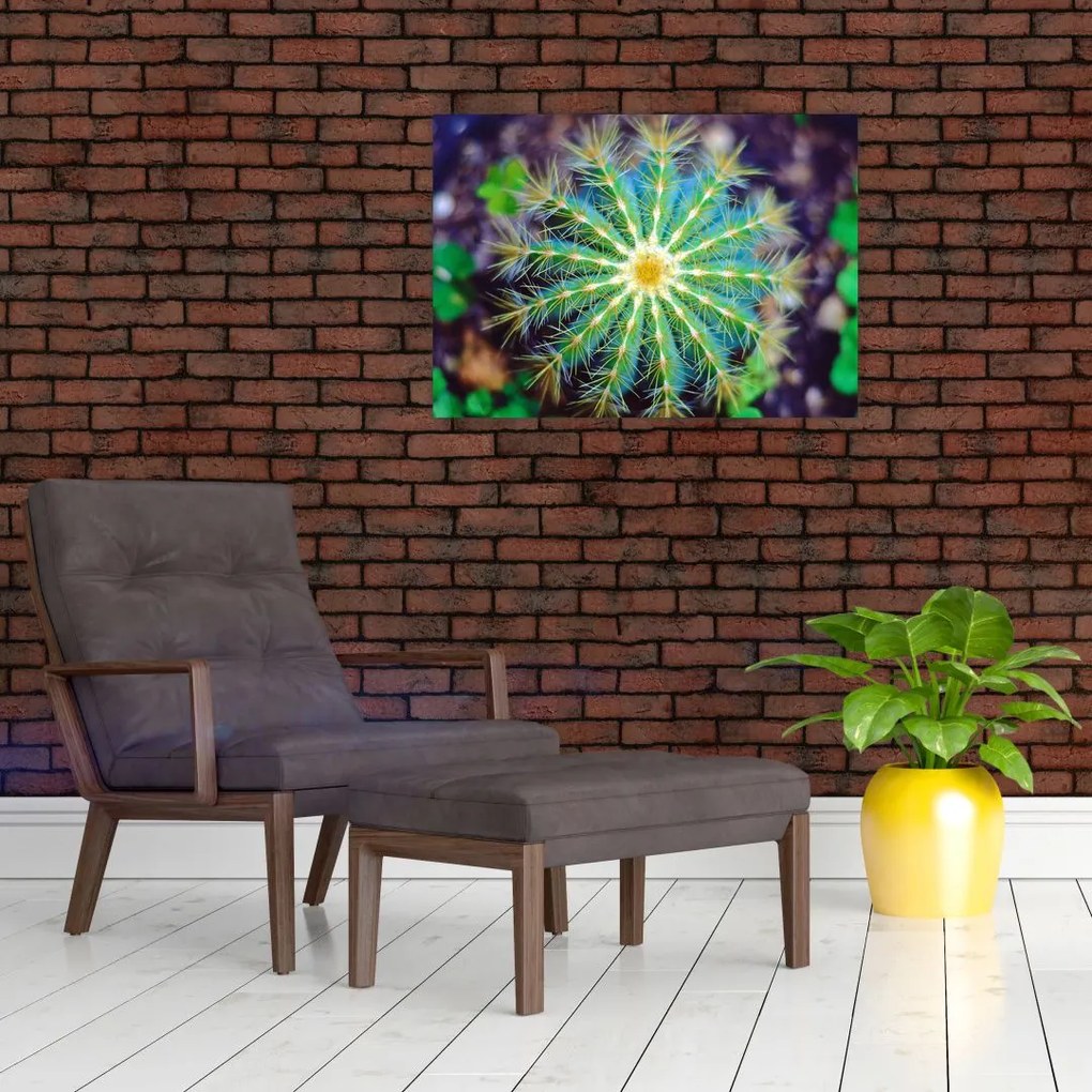Tablou cu cactus (70x50 cm)