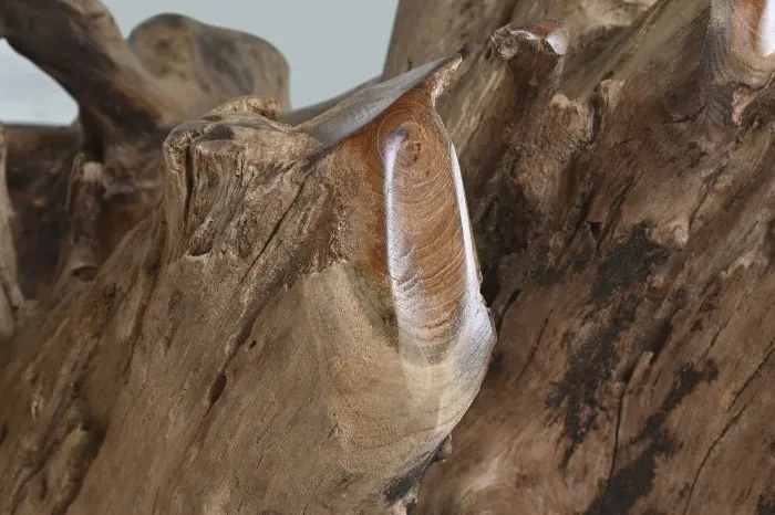 Masă dining rotundă din rădăcină de teak cu blat din sticlă securizată, 160×160×76 cm, „Raiz"
