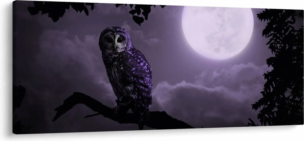 Tablou - Bufniță de noapte, violet (120x50 cm)