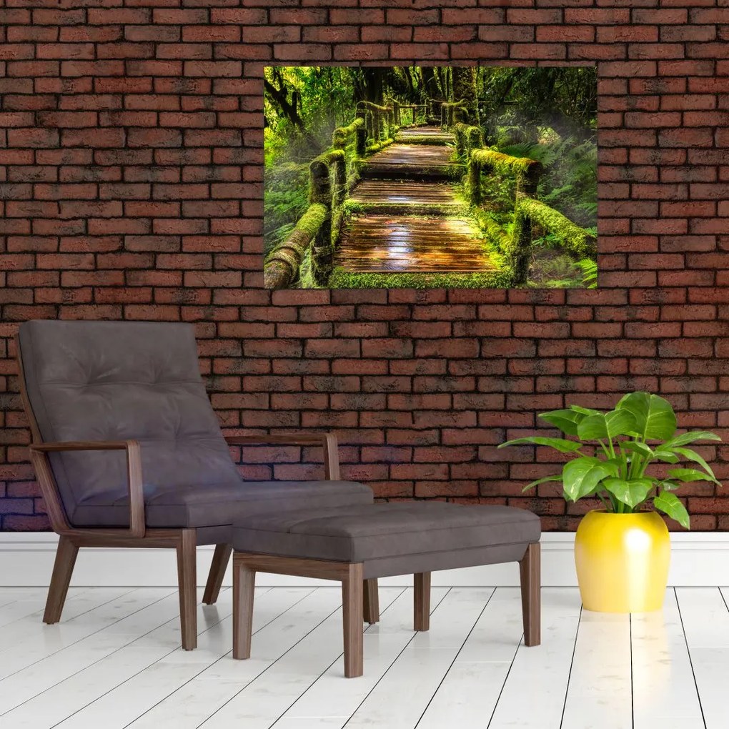 Tablou cu scări într-o pădure tropicală (90x60 cm)