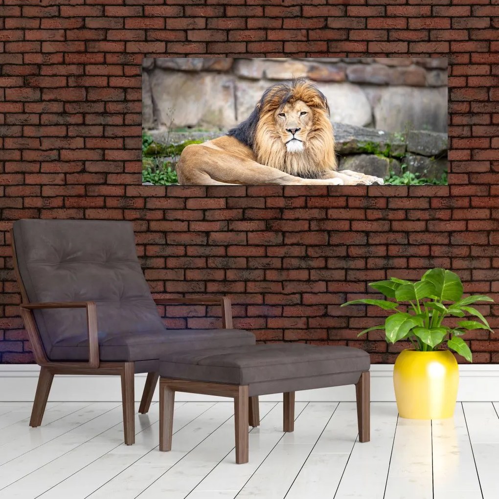 Tablou cu leu (120x50 cm)