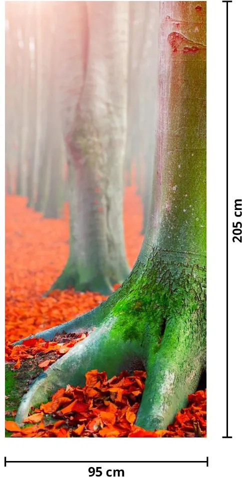 Fototapet pentru ușă - Copacii (95x205cm)