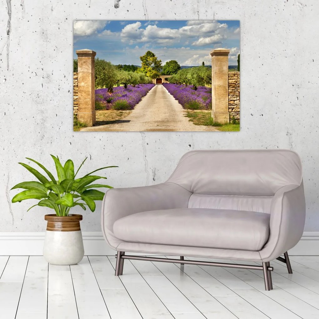 Tablou - Căi de lavandă (90x60 cm)