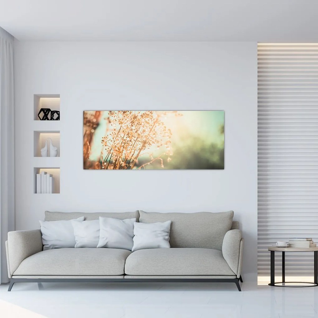 Tablou - Plante după ploaie (120x50 cm)