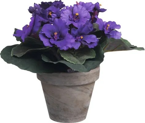 Floare artificiala, Saintpaulia, violet