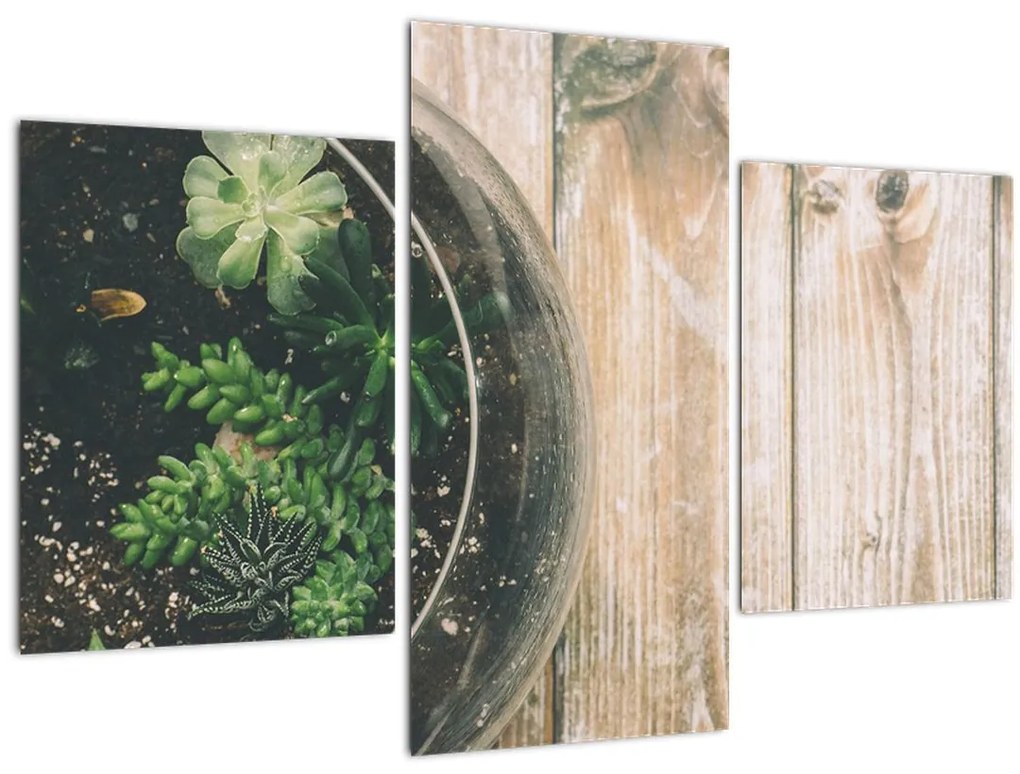 Tablou - Terariu de sticlă (90x60 cm)