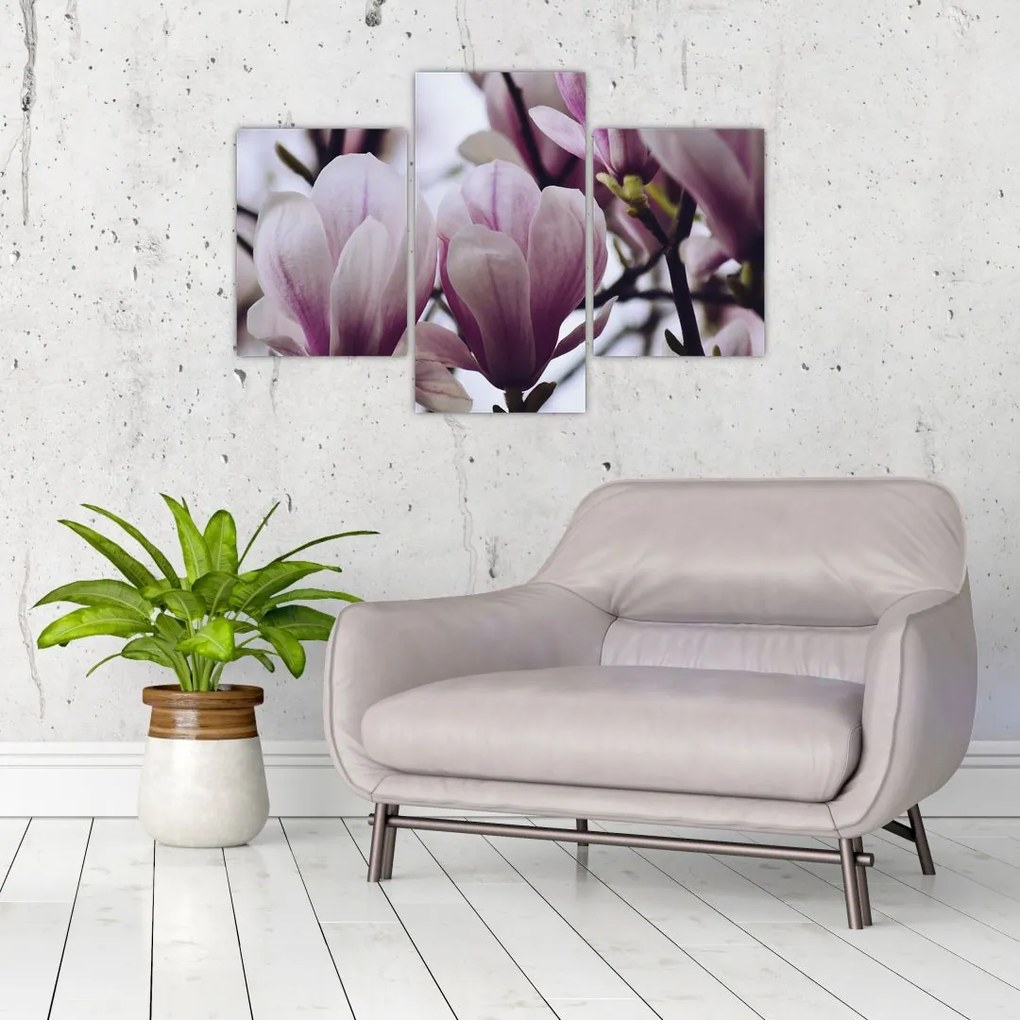 Tablou - Magnolie (90x60 cm)