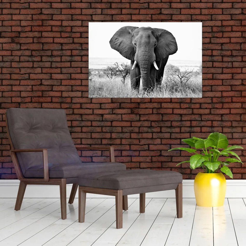 Tablou - Elefantul african II. (90x60 cm)