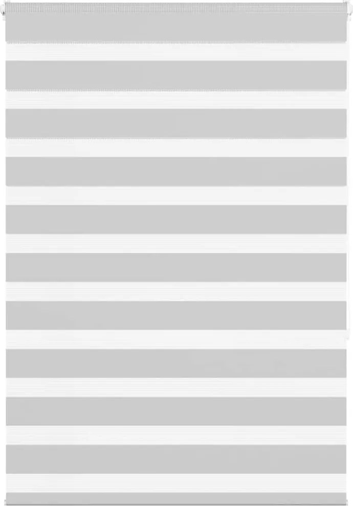 vidaXL Jaluzea tip zebra gri deschis lățime țesătură 100,9cm poliester